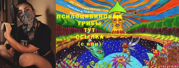 МДПВ Кукмор