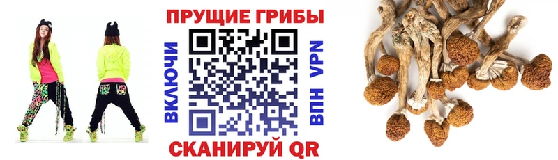 мориарти клад  Кызыл  Галлюциногенные грибы ЛСД 