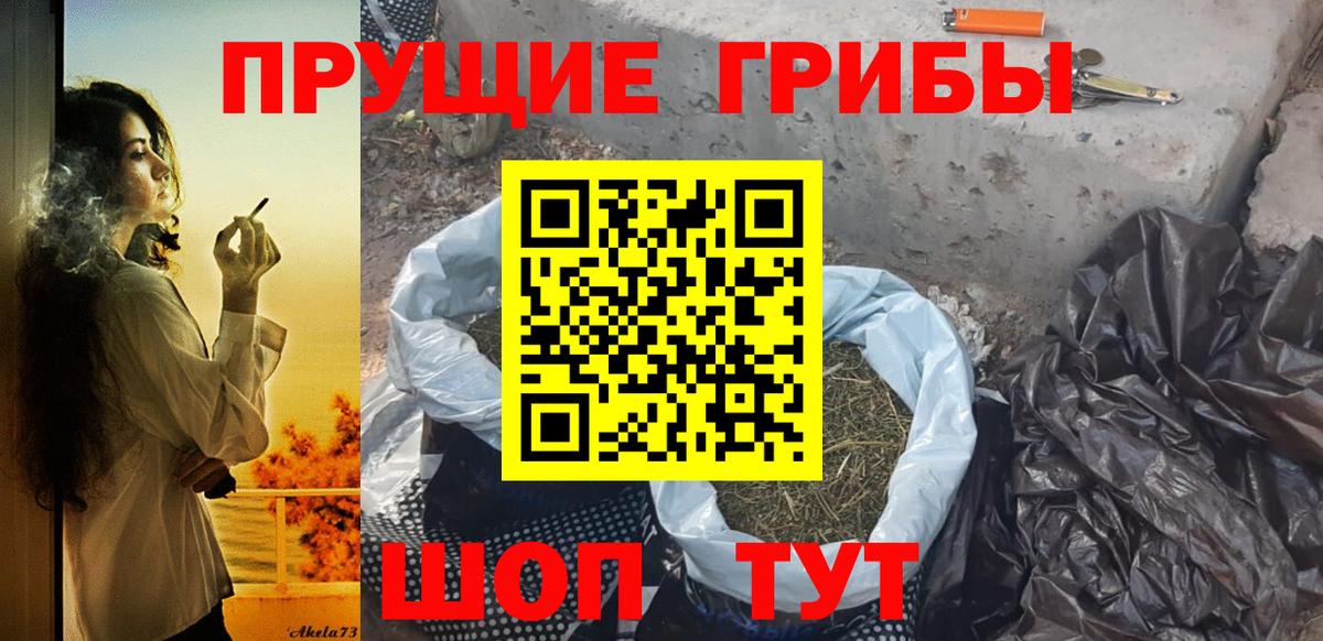 Кызыл  Галлюциногенные грибы MAGIC MUSHROOMS  Вход с VPN 