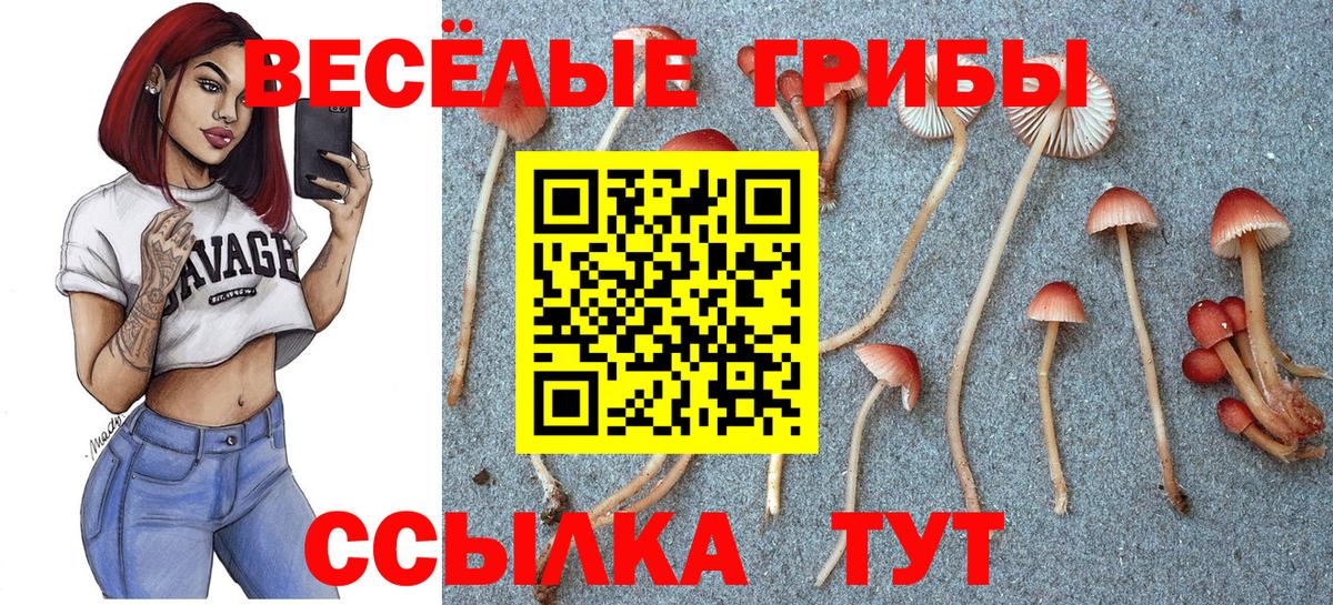 Галлюциногенные грибы Cubensis Кызыл